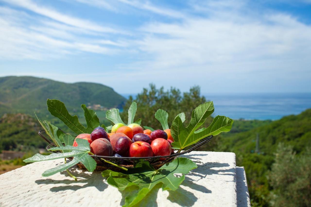 Eco Village Buljarica 부드바 외부 사진